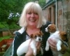 Cute-jack-Russell-Puppies-male-and-female-for-Adoption